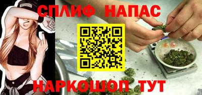 мдпв Краснознаменск
