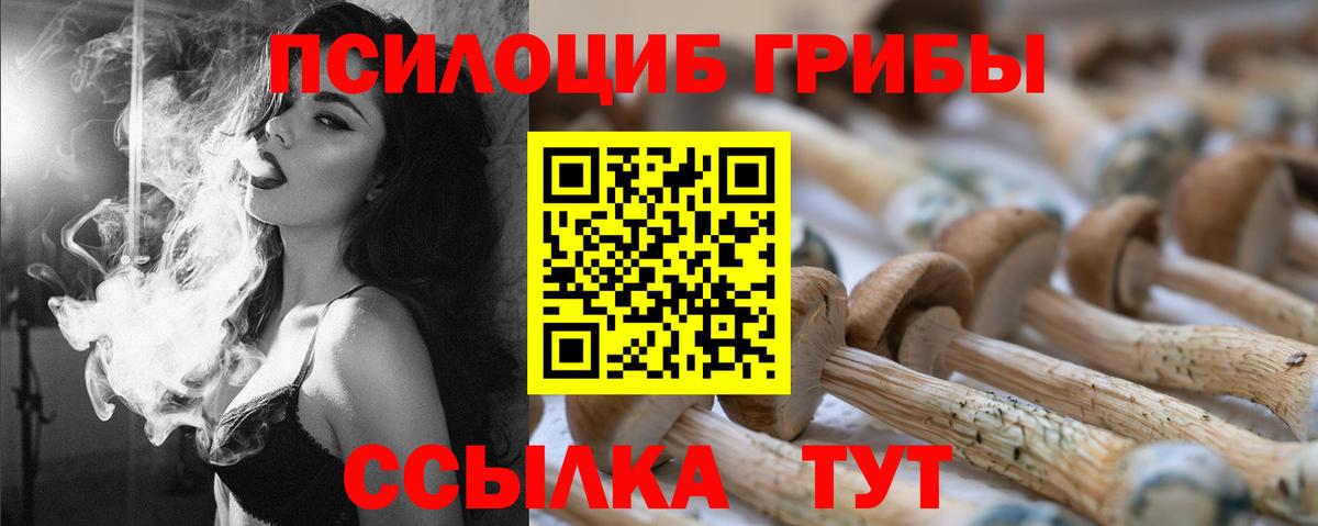 Волоколамск  Галлюциногенные грибы мухоморы  Вход с VPN 